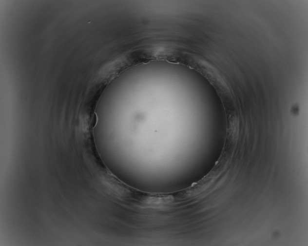 X0000102340571200808081134