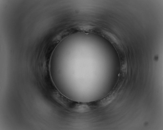 X0000102340572200808081134