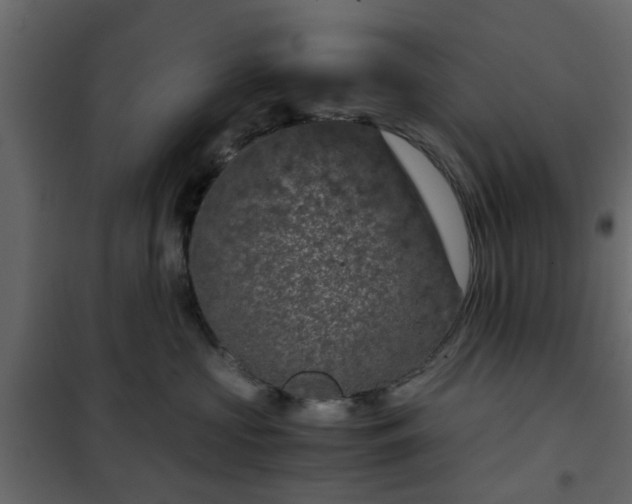 X0000102340573200808081134