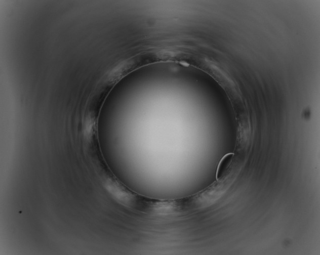 X0000102340574200808081134