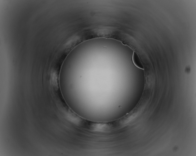 X0000102340575200808081134