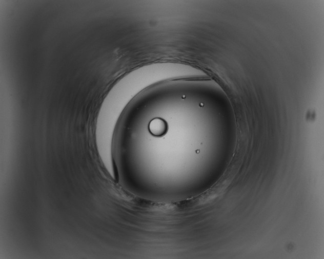 X0000102340576200808081134