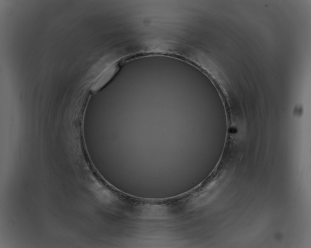 X0000102340577200808081133