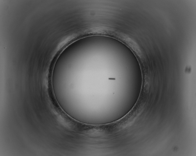 X0000102340578200808081133