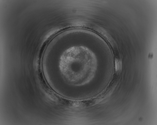 X0000102340579200808081133