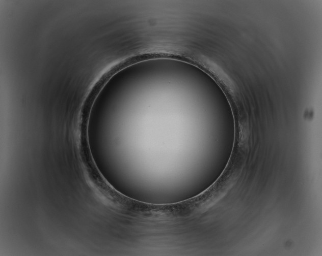 X0000102340580200808081133