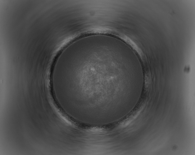 X0000102340581200808081133