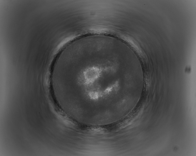 X0000102340583200808081133