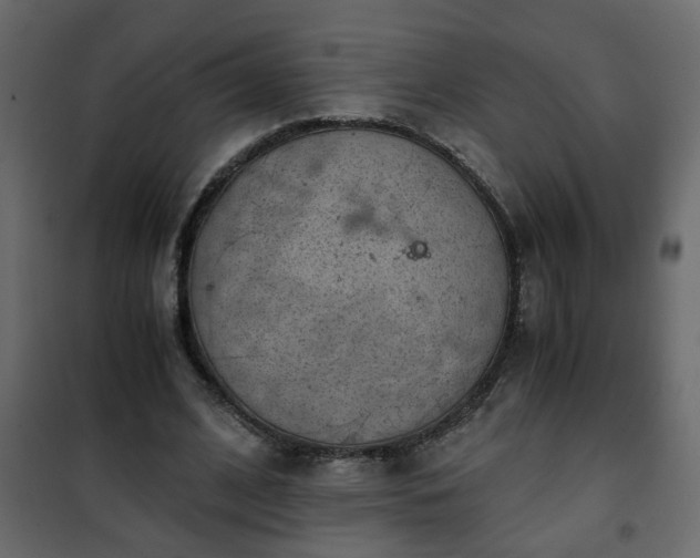 X0000102340584200808081133