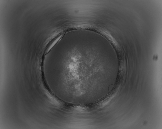 X0000102340585200808081133