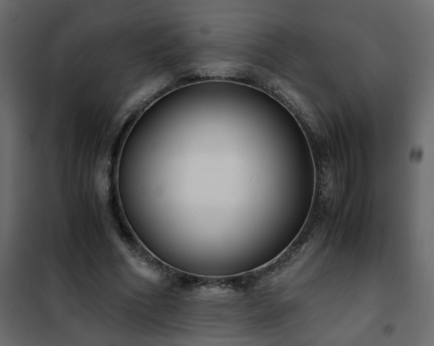 X0000102340586200808081133