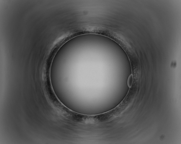 X0000102340587200808081133