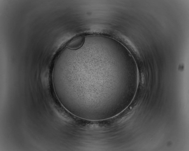 X0000102340588200808081133