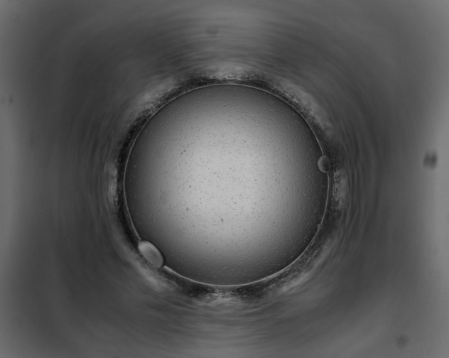 X0000102340589200808081133