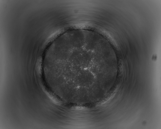 X0000102340590200808081133