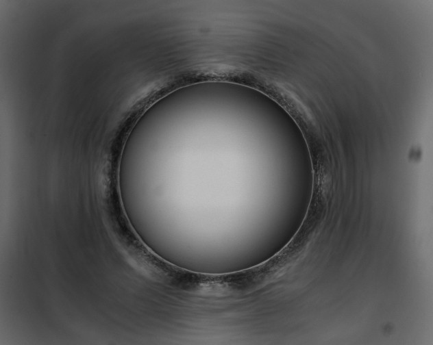 X0000102340591200808081133