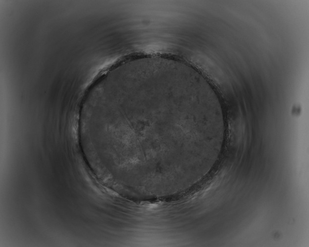 X0000102340592200808081133