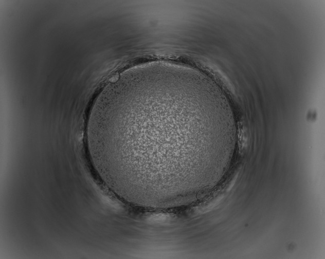 X0000102340593200808081133