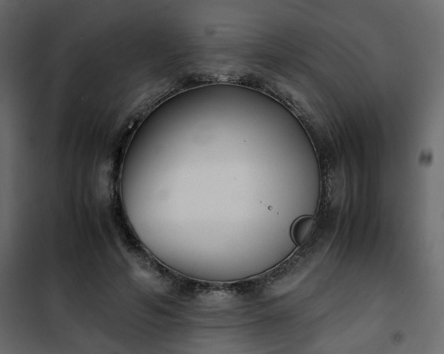 X0000102340594200808081133