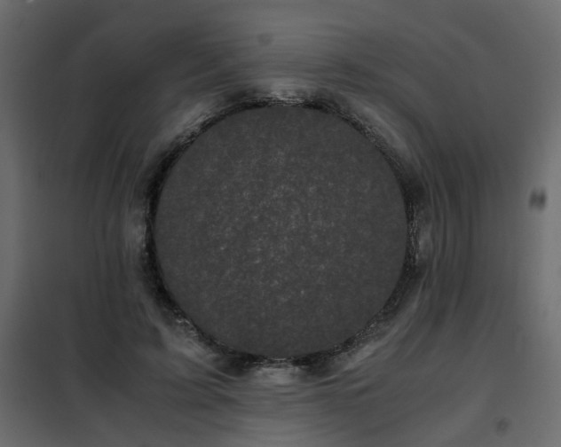 X0000102340595200808081133