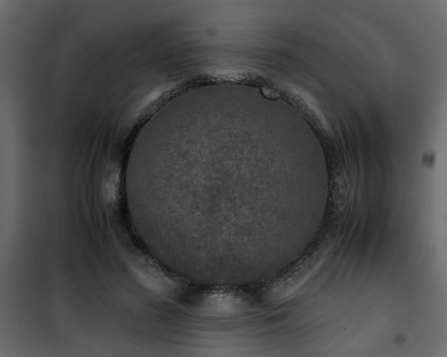 X0000102340596200808081133