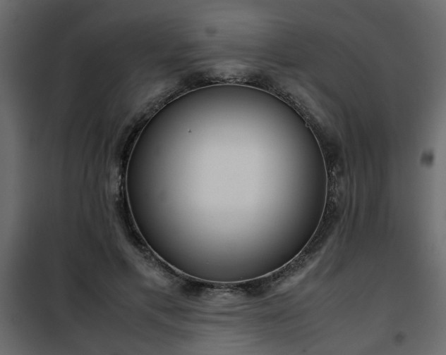 X0000102340597200808081133