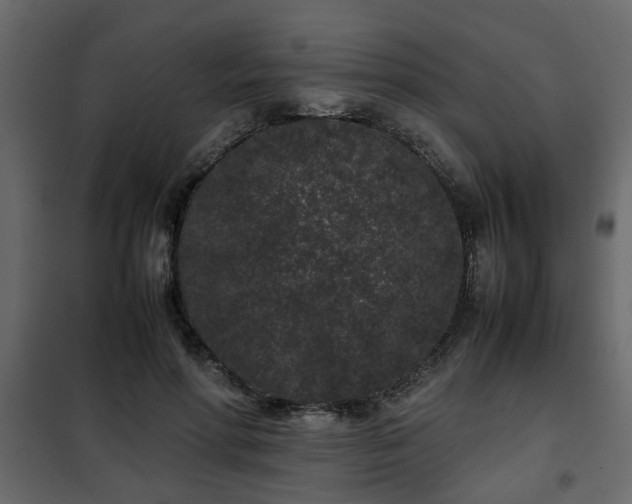 X0000102340598200808081133