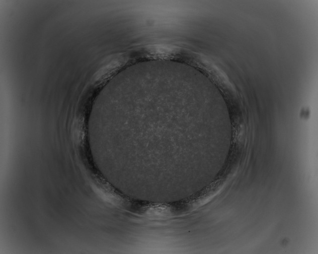 X0000102340599200808081133