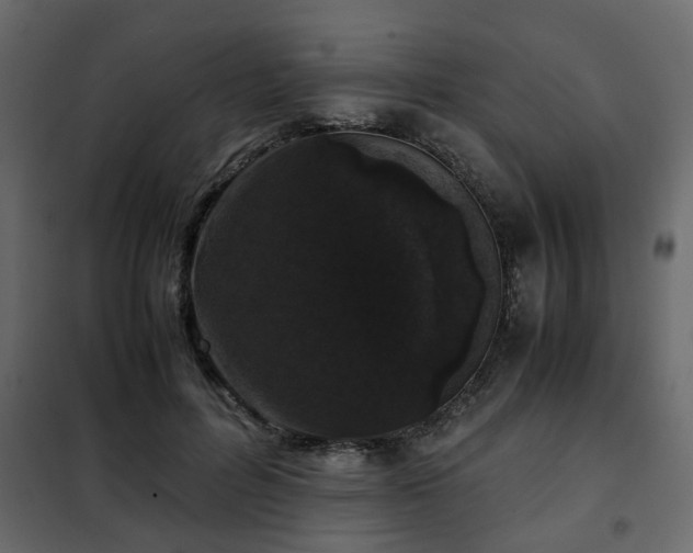 X0000102340600200808081133