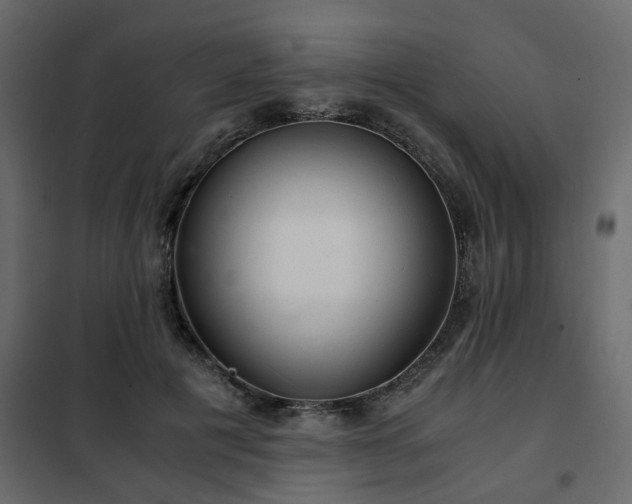 X0000102340601200808081133