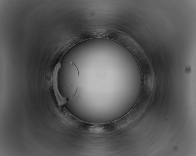 X0000102340602200808081133