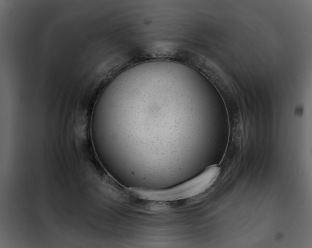 X0000102340604200808081133