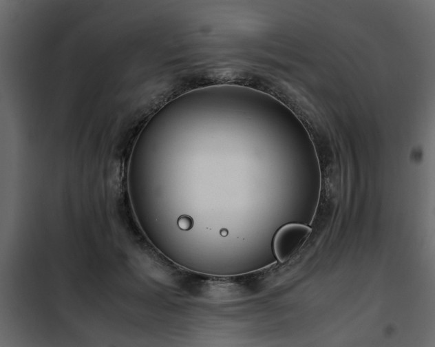 X0000102340605200808081133