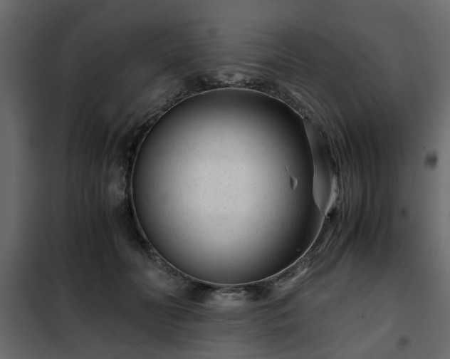 X0000102340606200808081133