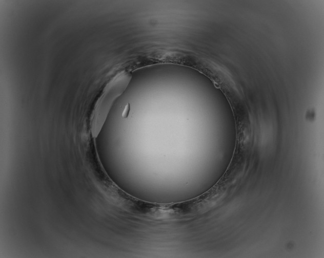 X0000102340607200808081133