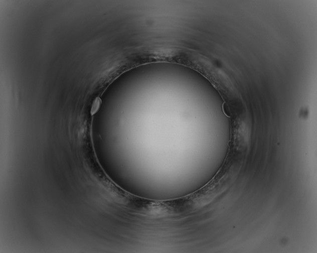 X0000102340608200808081133