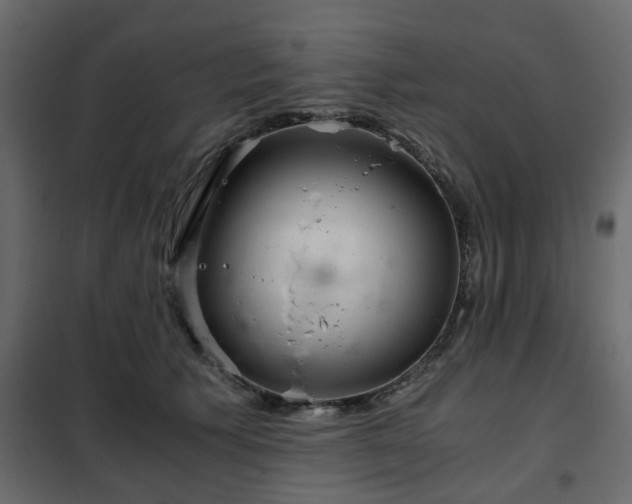 X0000102340609200808081132