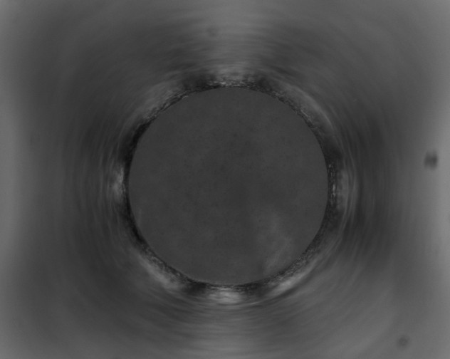 X0000102340610200808081132