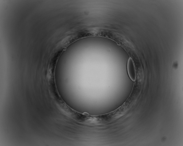 X0000102340611200808081132