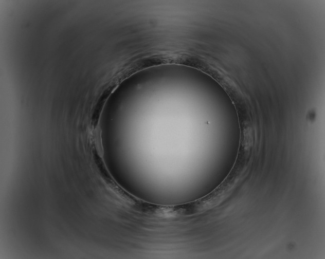 X0000102340613200808081132