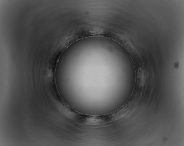 X0000102340614200808081132