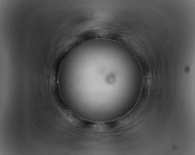 X0000102340615200808081132