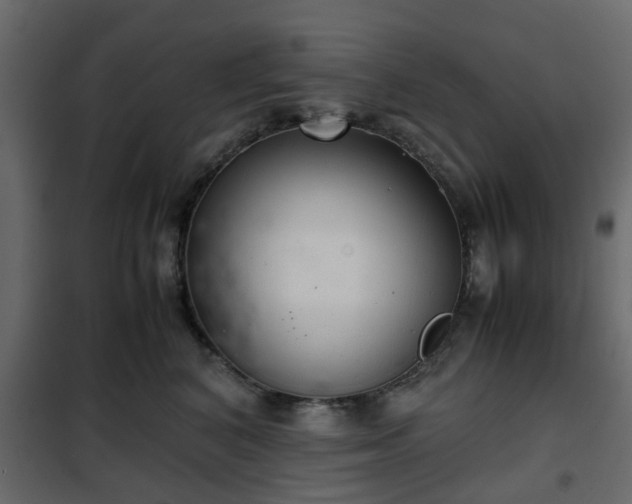 X0000102340616200808081132