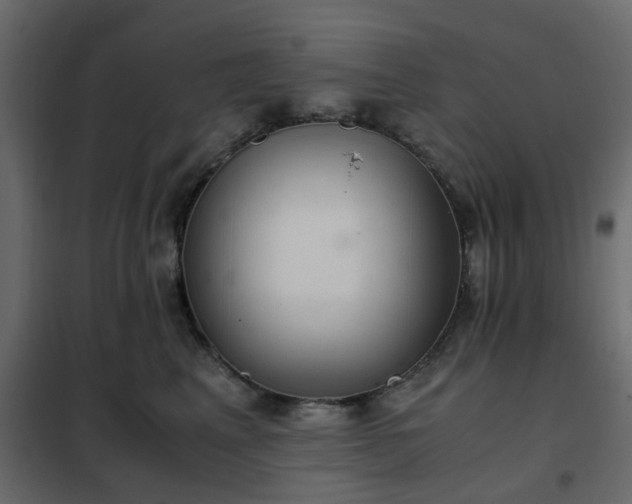 X0000102340617200808081132