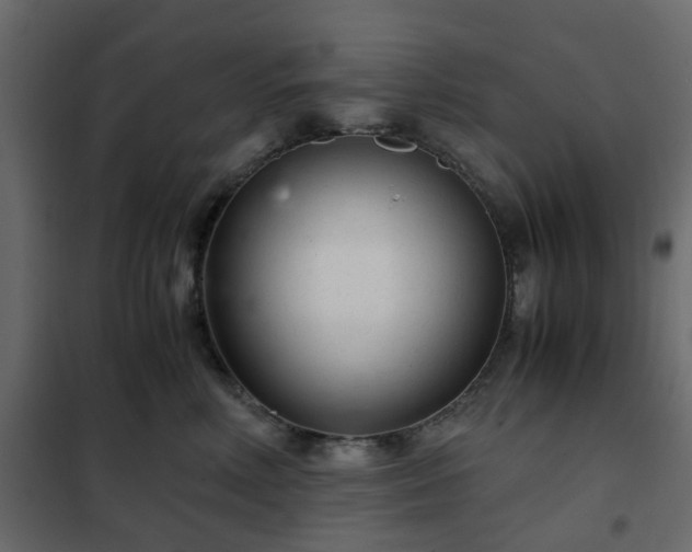 X0000102340618200808081132