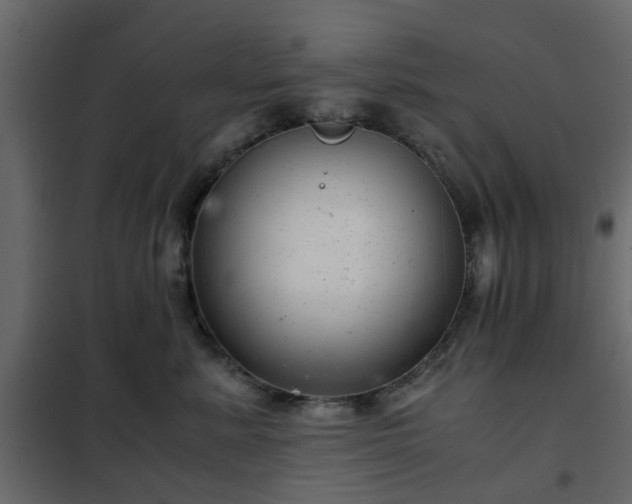 X0000102340619200808081132