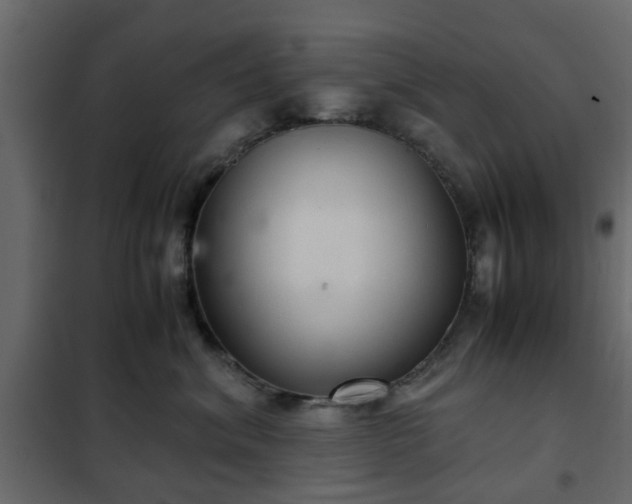 X0000102340620200808081132