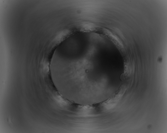 X0000102340621200808081132