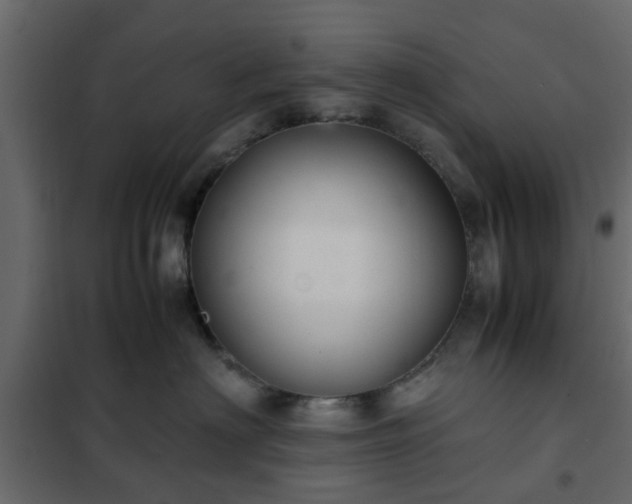 X0000102340622200808081132