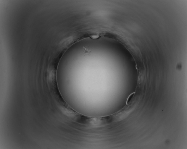 X0000102340623200808081132